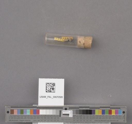 NSF ADBC EPICC TCN
