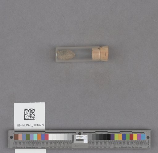 NSF ADBC EPICC TCN