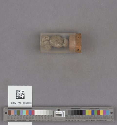 NSF ADBC EPICC TCN