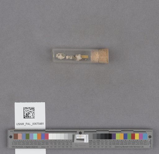 NSF ADBC EPICC TCN
