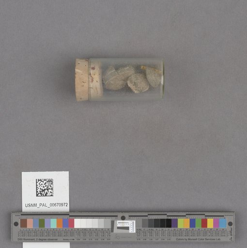 NSF ADBC EPICC TCN