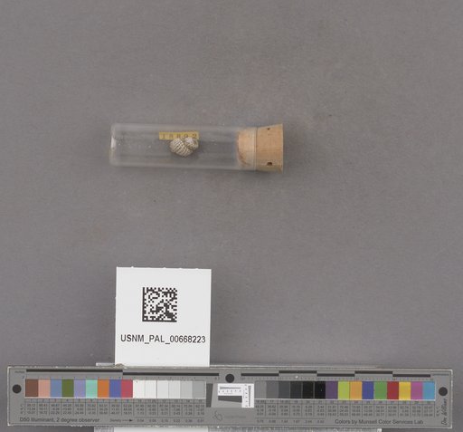 NSF ADBC EPICC TCN