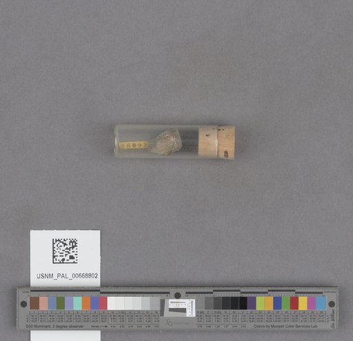 NSF ADBC EPICC TCN