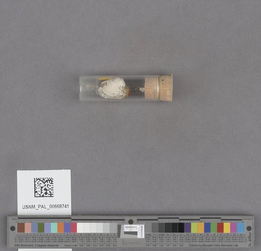 NSF ADBC EPICC TCN