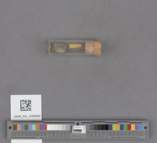NSF ADBC EPICC TCN