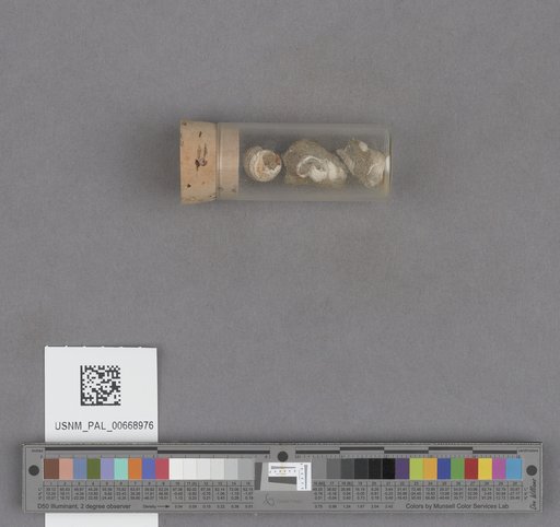 NSF ADBC EPICC TCN