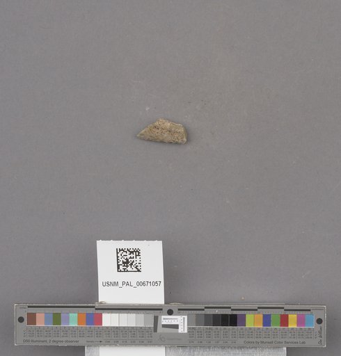 NSF ADBC EPICC TCN