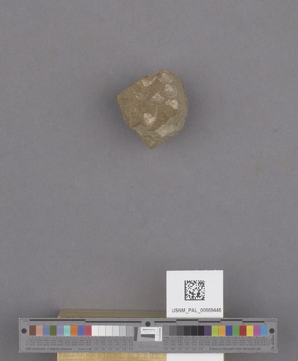 NSF ADBC EPICC TCN