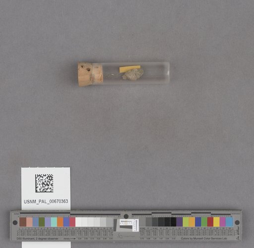 NSF ADBC EPICC TCN