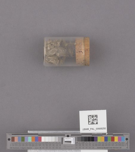 NSF ADBC EPICC TCN