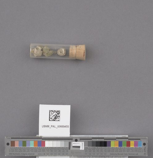 NSF ADBC EPICC TCN