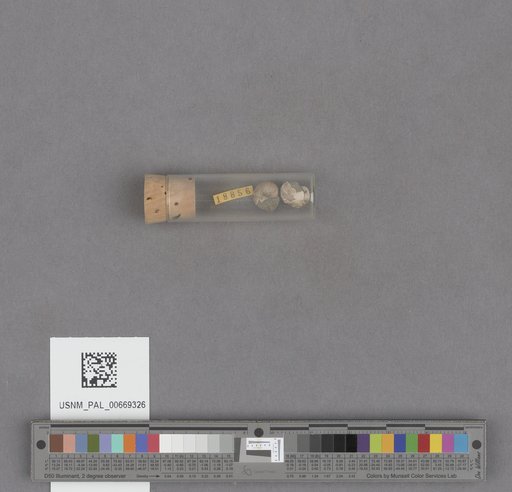 NSF ADBC EPICC TCN