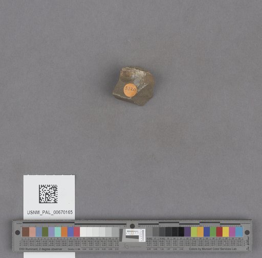NSF ADBC EPICC TCN