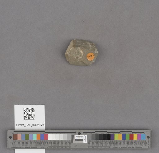 NSF ADBC EPICC TCN