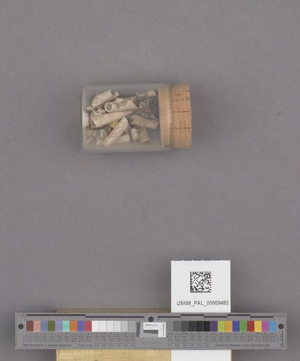 NSF ADBC EPICC TCN