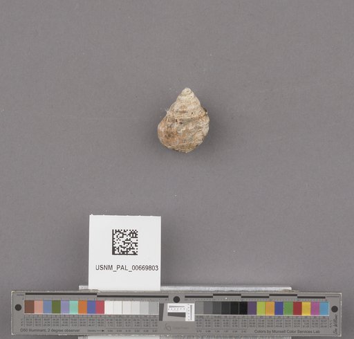 NSF ADBC EPICC TCN