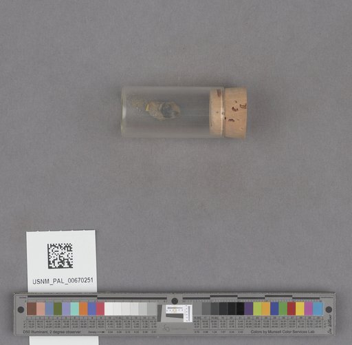 NSF ADBC EPICC TCN