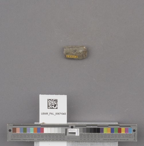 NSF ADBC EPICC TCN