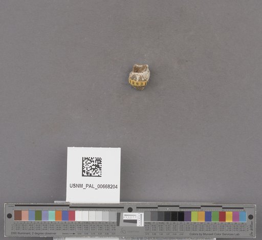 NSF ADBC EPICC TCN