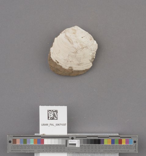 NSF ADBC EPICC TCN