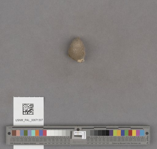 NSF ADBC EPICC TCN