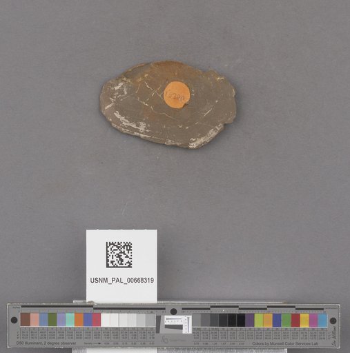 NSF ADBC EPICC TCN