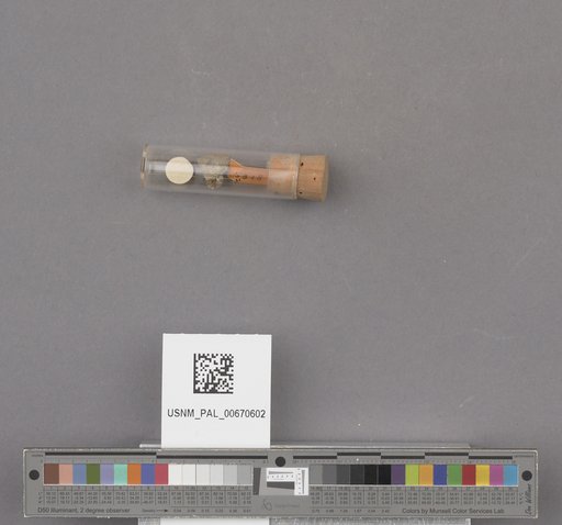 NSF ADBC EPICC TCN