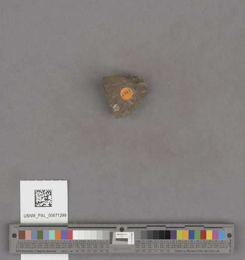 NSF ADBC EPICC TCN