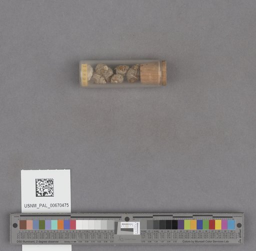 NSF ADBC EPICC TCN