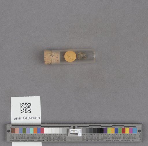 NSF ADBC EPICC TCN