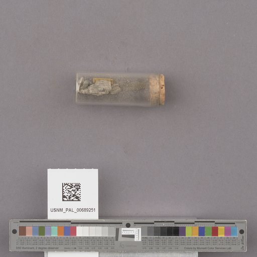 NSF ADBC EPICC TCN