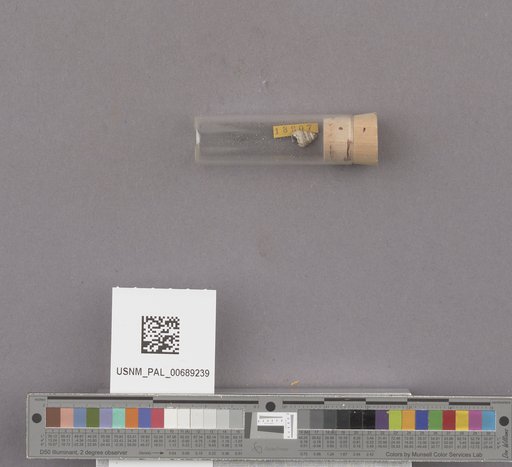 NSF ADBC EPICC TCN
