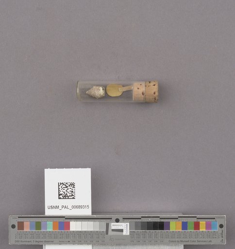 NSF ADBC EPICC TCN