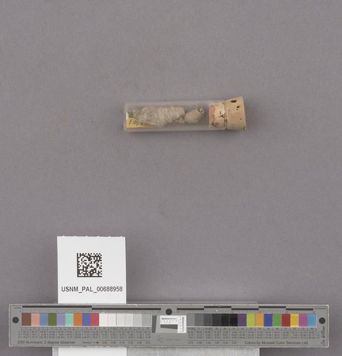 NSF ADBC EPICC TCN