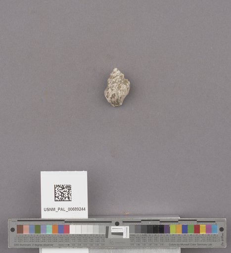 NSF ADBC EPICC TCN