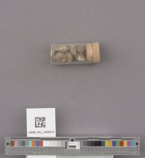 NSF ADBC EPICC TCN