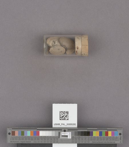NSF ADBC EPICC TCN