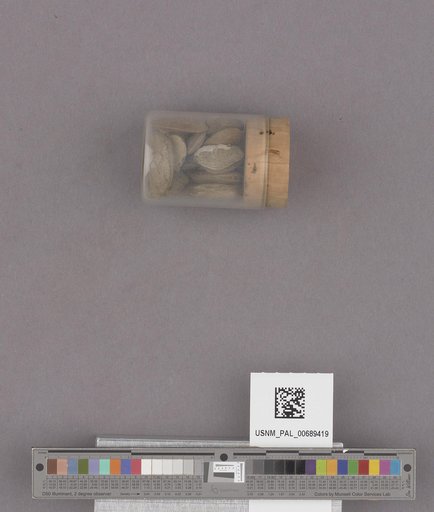 NSF ADBC EPICC TCN