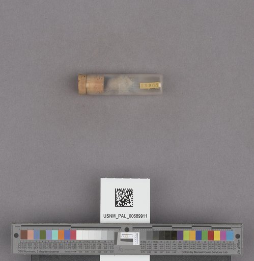 NSF ADBC EPICC TCN