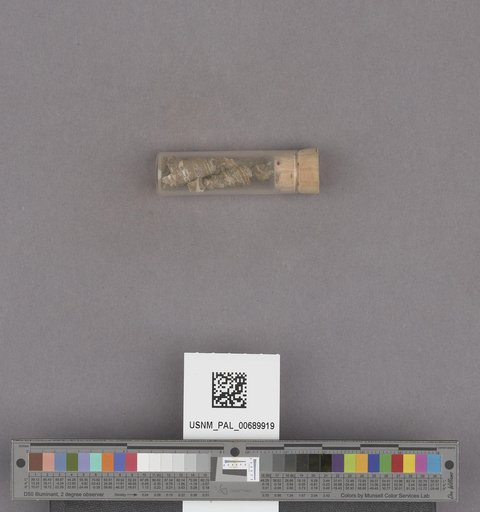 NSF ADBC EPICC TCN