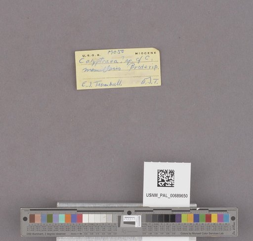 NSF ADBC EPICC TCN