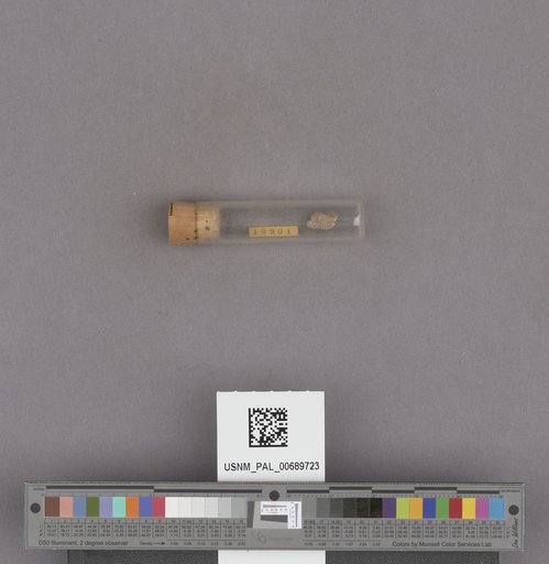NSF ADBC EPICC TCN