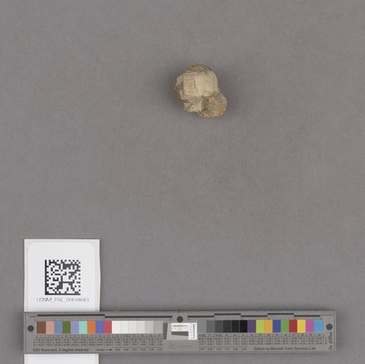 NSF ADBC EPICC TCN