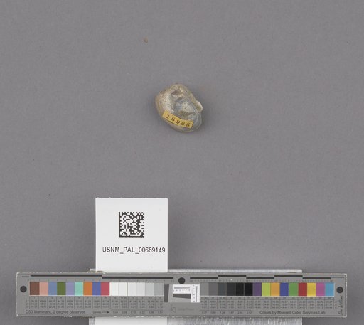NSF ADBC EPICC TCN