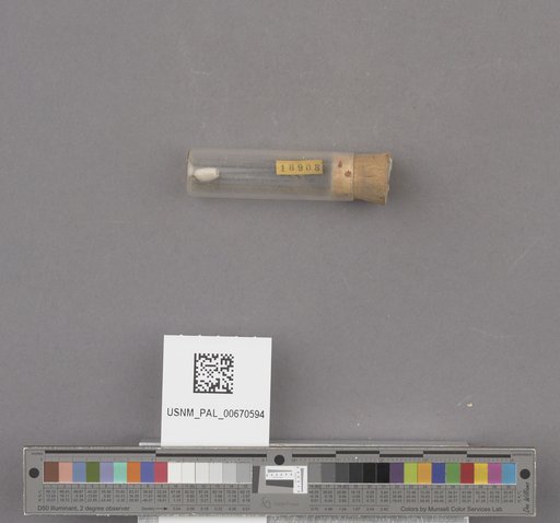 NSF ADBC EPICC TCN