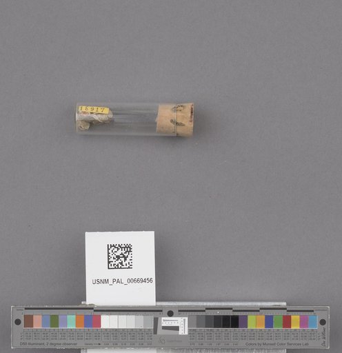 NSF ADBC EPICC TCN