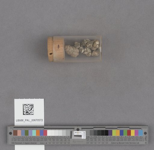 NSF ADBC EPICC TCN
