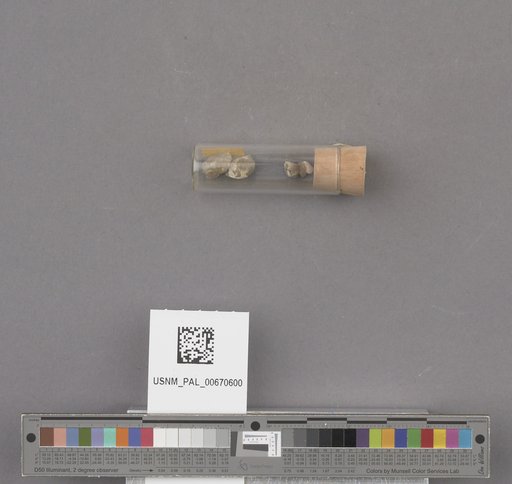 NSF ADBC EPICC TCN