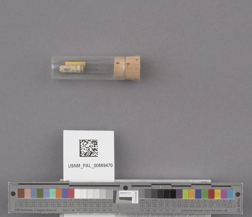 NSF ADBC EPICC TCN