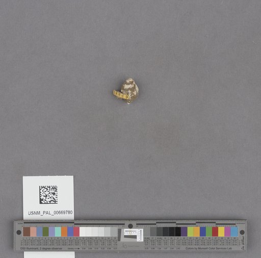 NSF ADBC EPICC TCN